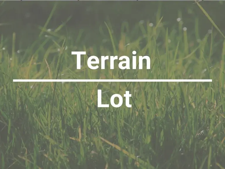 Grass background with the words Terrain overlayed